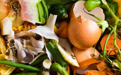 The Anatomy of Food Waste