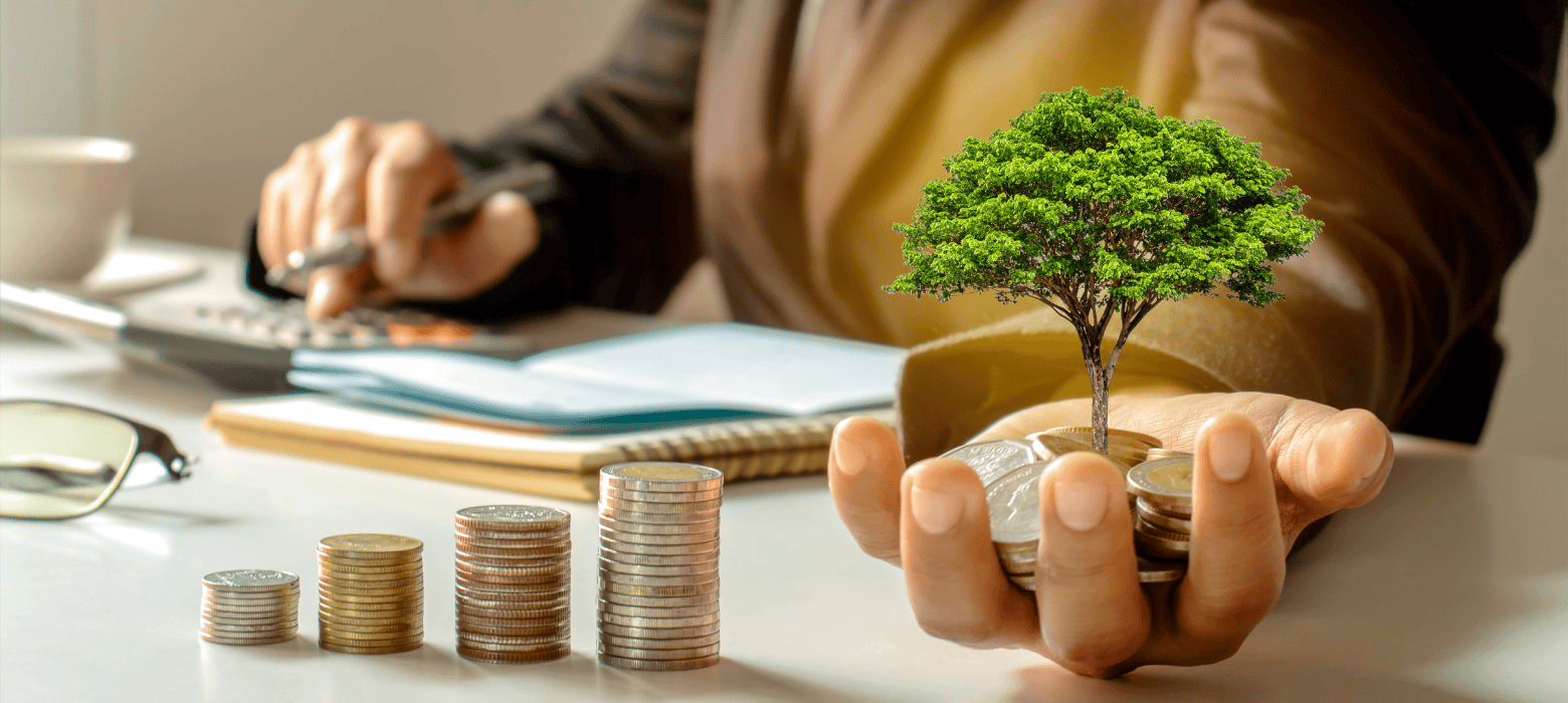 Person holding coins and tree in their hand with a calculator on the desk demonstrating investing in sustainability