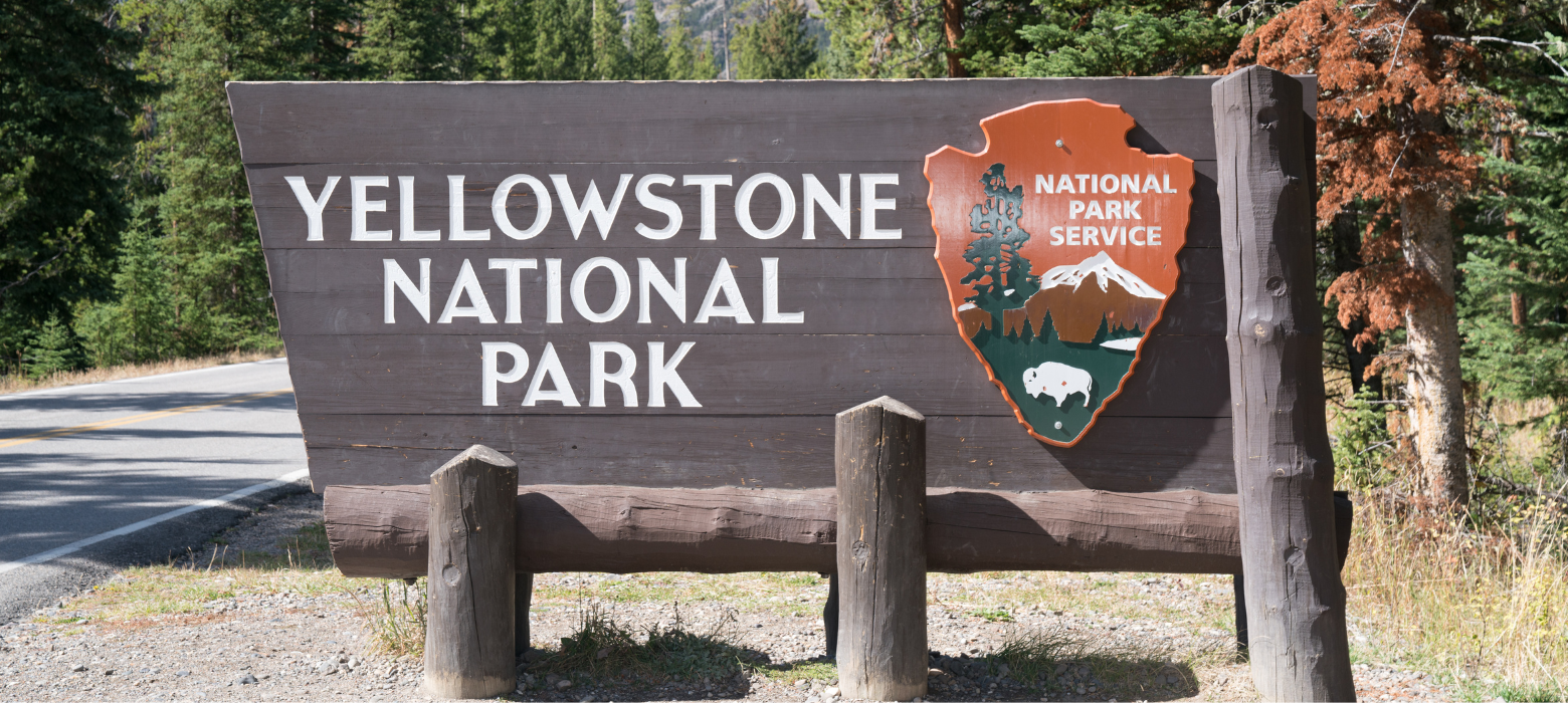 wood sign that says Yellowstone National Park on side of road with trees behind sign