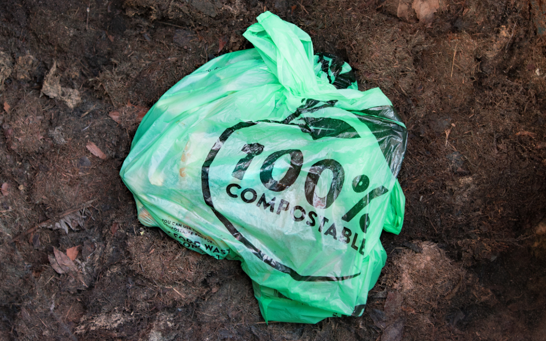 Celebrating International Plastic Bag Free Day: How Your Business Can Lead the Way