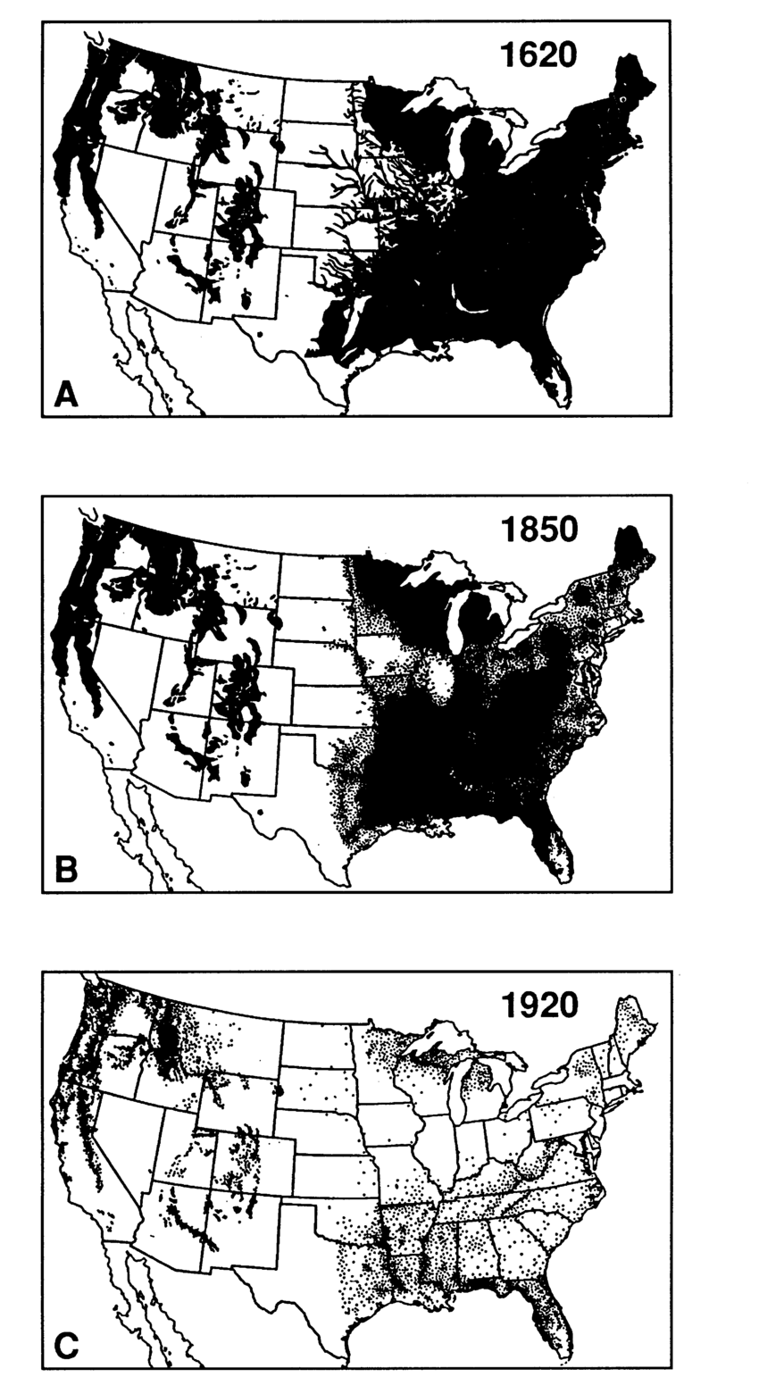 Map showing area of virgin forests in the united states from 1600s to 1900s