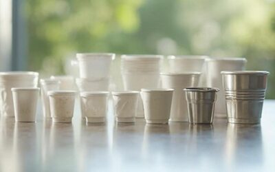 Custom and Disposable Plastic Condiment Cups at Emerald Ecovations