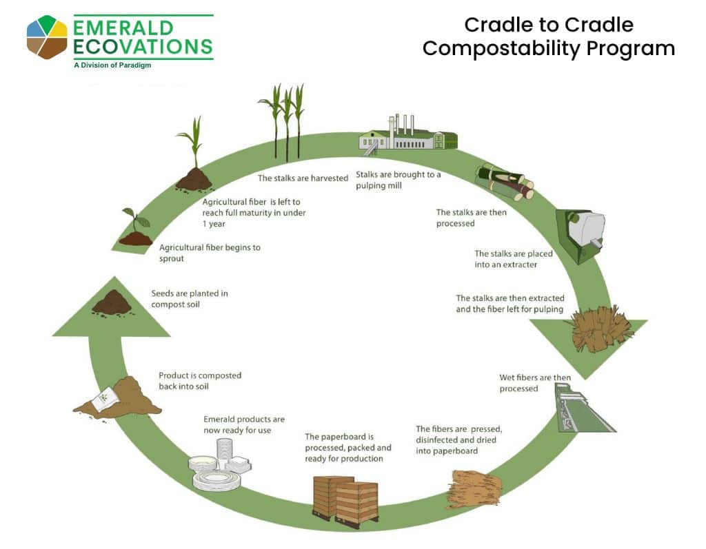 Cradle to Cradle Graphic Illustration of the Cradle to Cradle Compostability Program by Emerald Ecovations. It shows a circular process: harvesting stalks, pulping, fiber production, papermaking, recycling, and composting, leading back to planting.