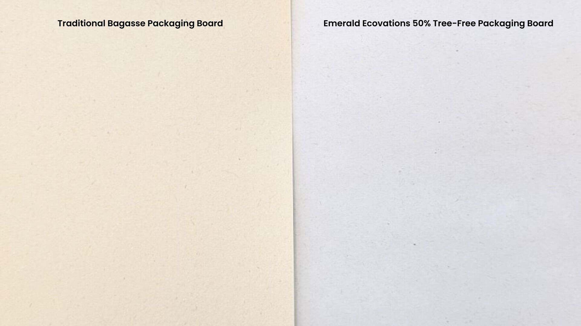 Side-by-side comparison of two packaging boards: the left is labeled "Traditional Bagasse Packaging Board" and is off-white, while the right is labeled "Emerald Ecovations 50% Tree-Free Packaging Board" and is bright white.