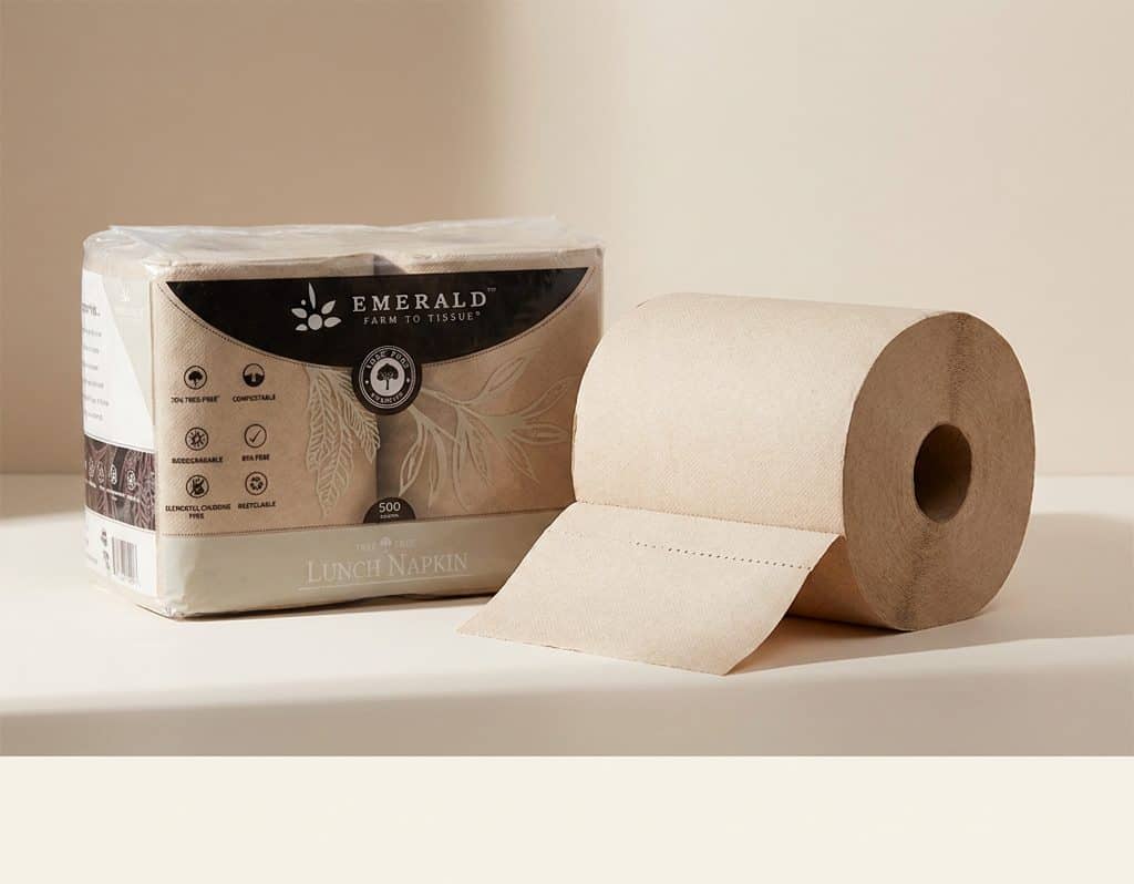 Emerald napkin pack and kraft towel roll
